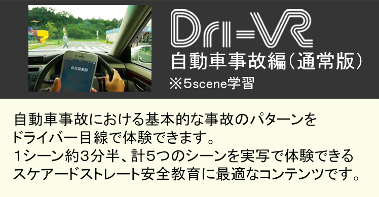 Dri-VR 自動車事故編 通常版